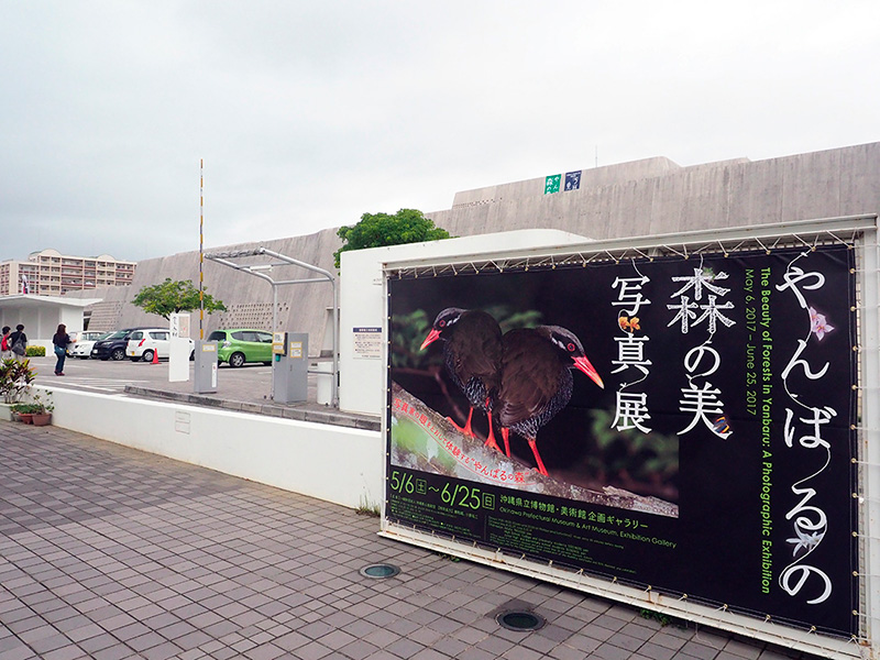 沖縄県立博物館・美術館