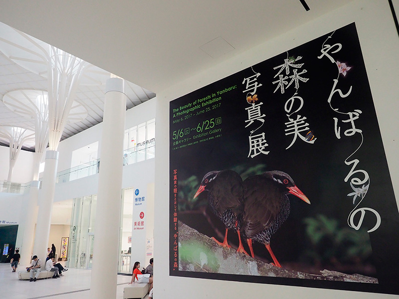 沖縄県立博物館・美術館エントランスホール