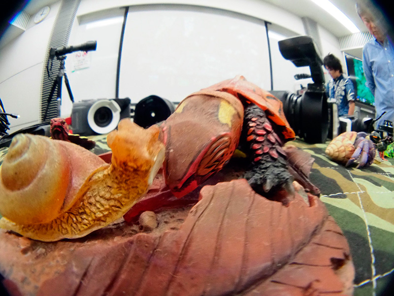 ネイチャーフォト教室（阿部篤志さん撮影）