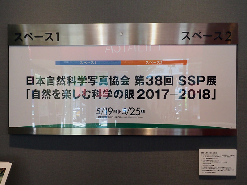 第38回SSP写真展