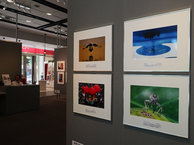 第38回SSP写真展