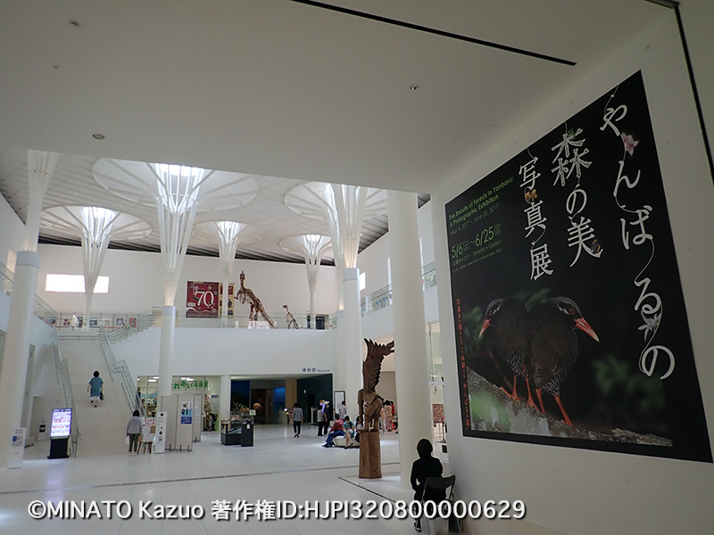 「やんばるの森の美」写真展