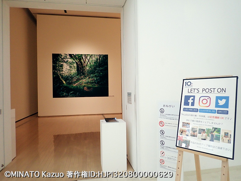 「やんばるの森の美」写真展