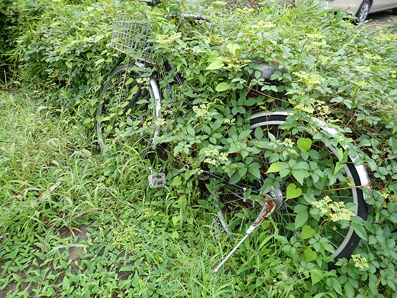 カムフラージュ