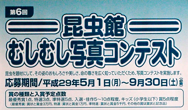 第　6回むしむし写真コンテスト