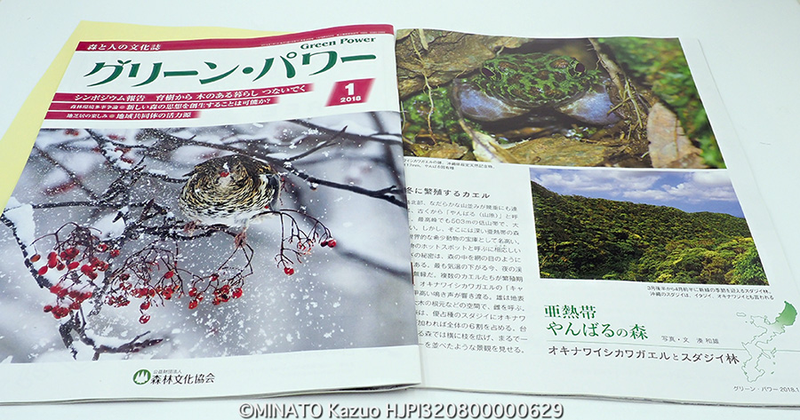 グリーンパワー連載開始