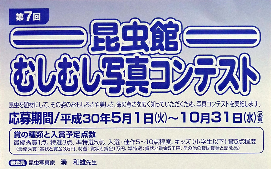 第7回むしむしコンテンスト