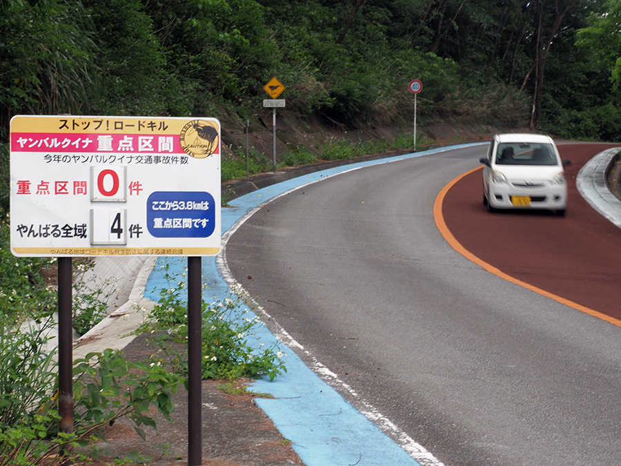 ヤンバルクイナ事故標識(4月27日撮影）