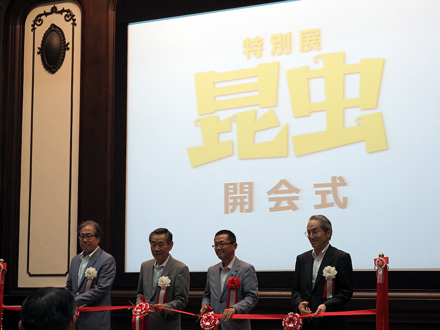 特別展 昆虫 開幕