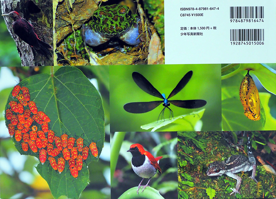 『世界が注目する南の島〜やんばるの森』