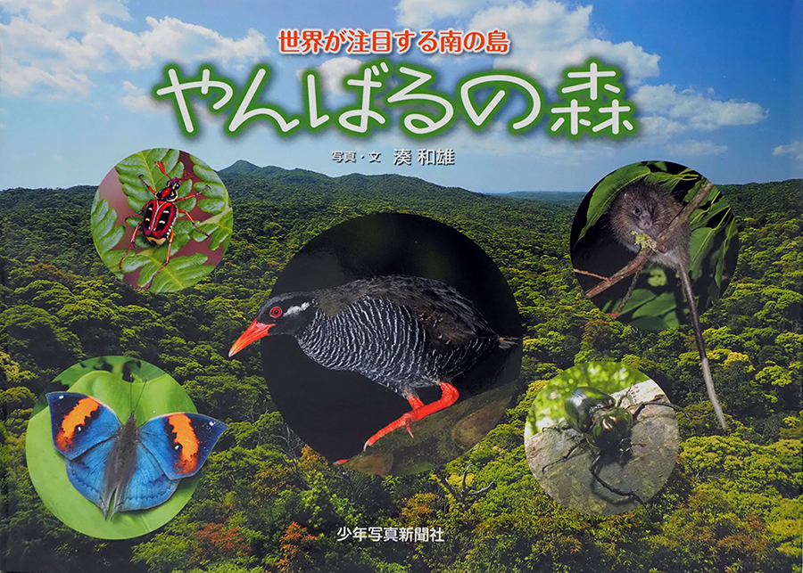 『世界が注目する南の島〜やんばるの森』