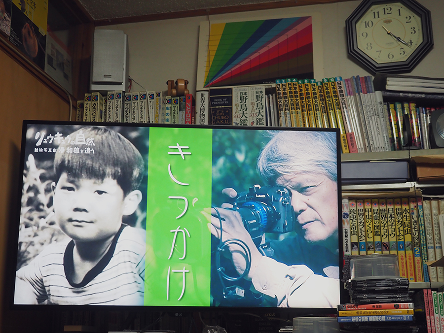 リュウキュウの自然20周年特番