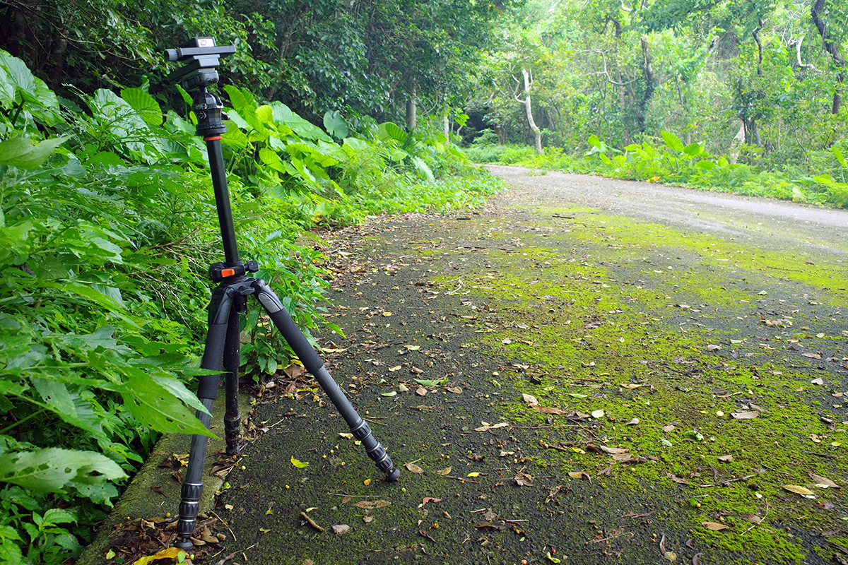 置き去りにされた三脚