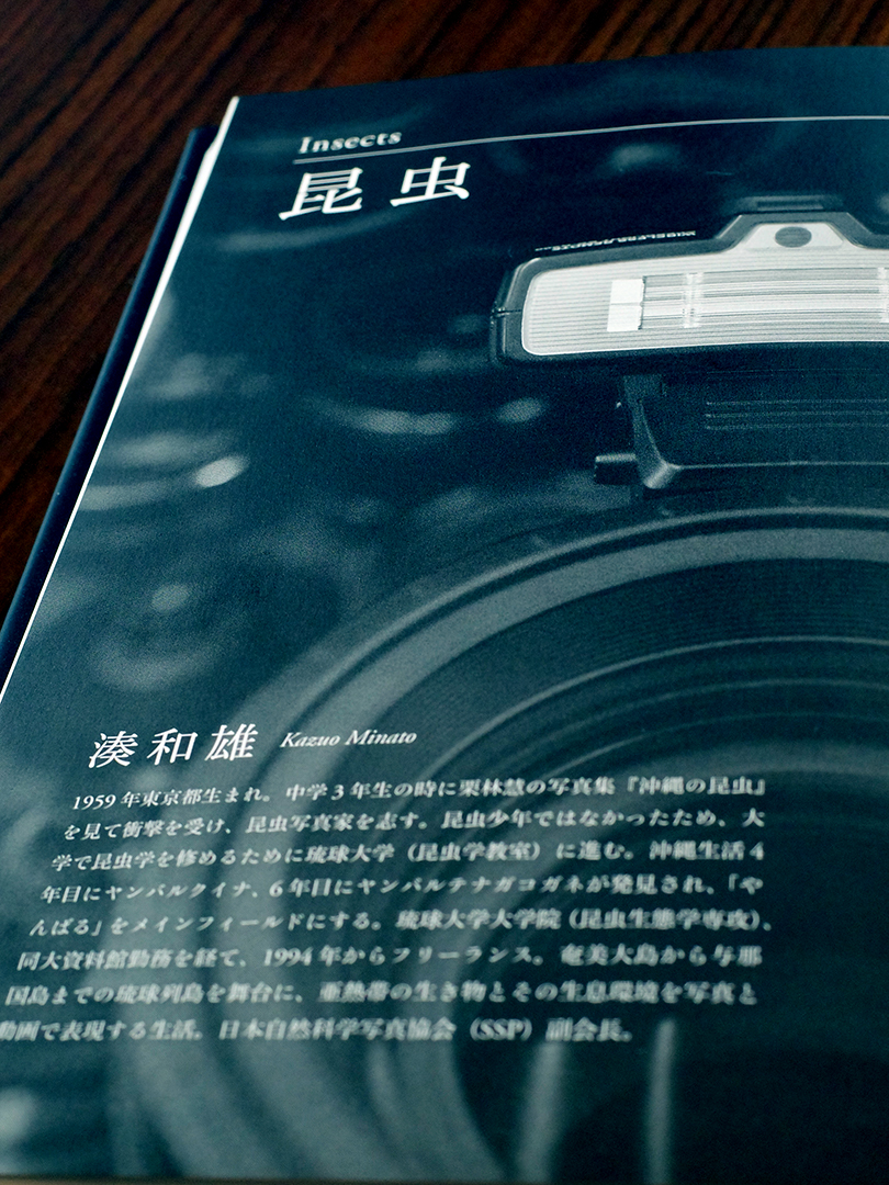 自然写真の平成30年とフォトグラファー
