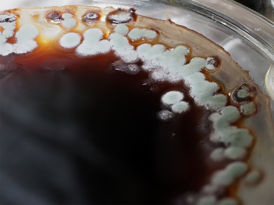 ちょっと放置したら