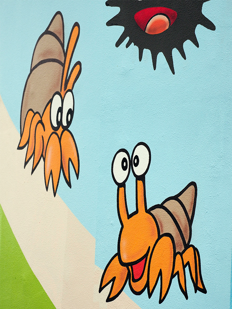 オカヤドカリ？