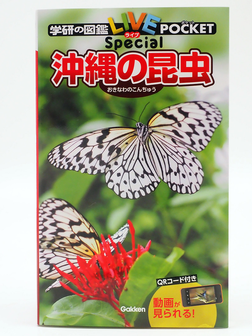 沖縄の昆虫図鑑