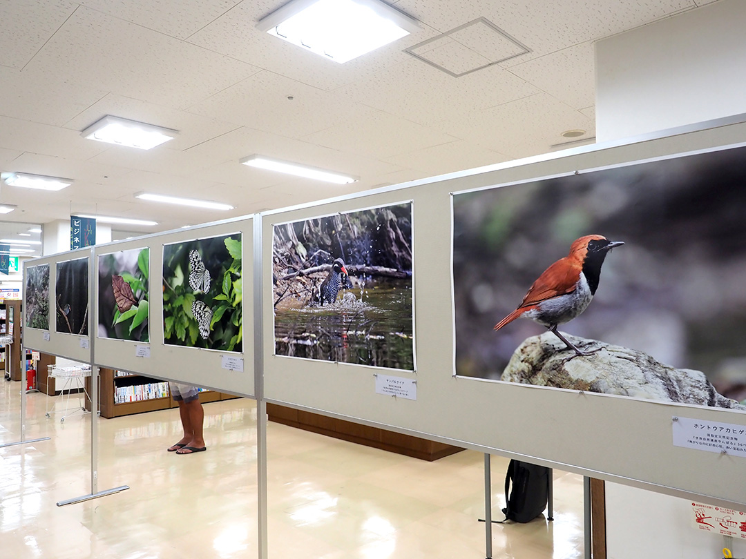 ジュンク堂那覇店