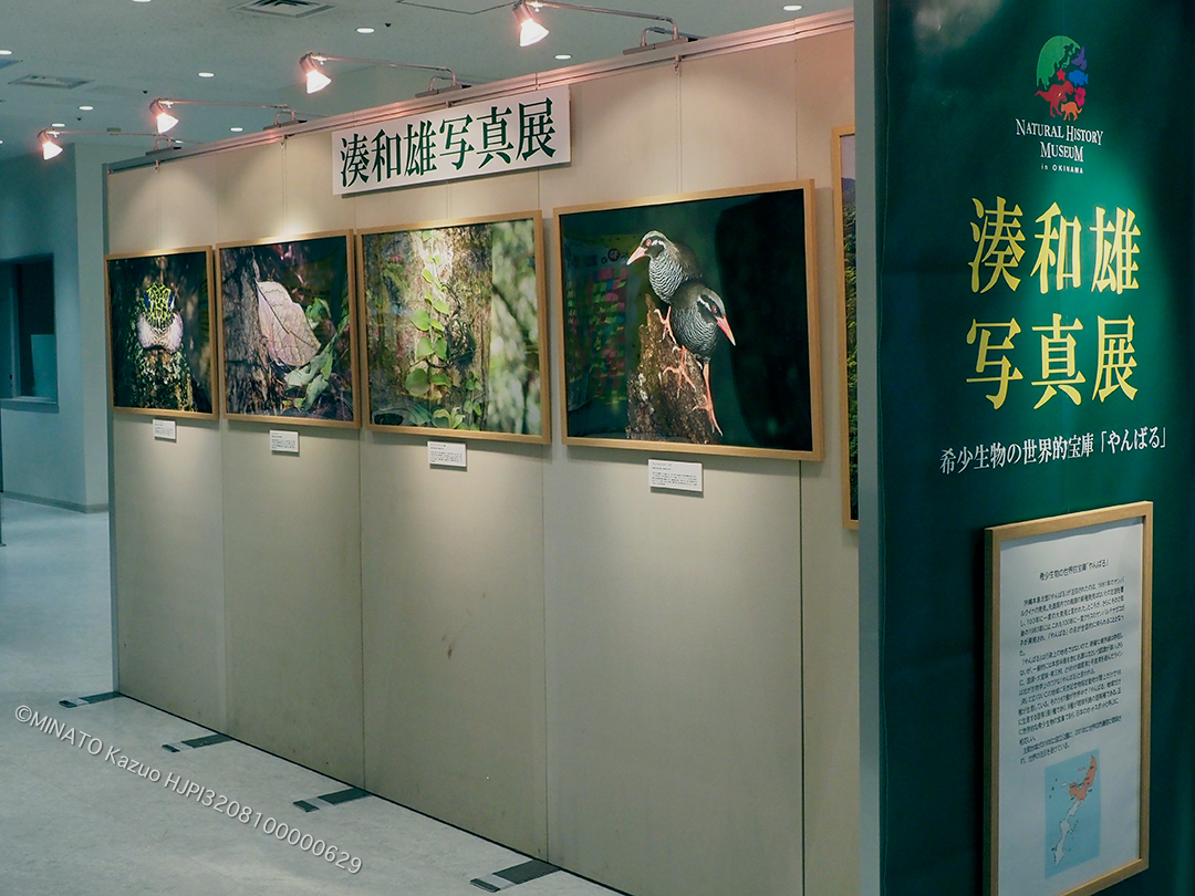 美ら海水族館写真展