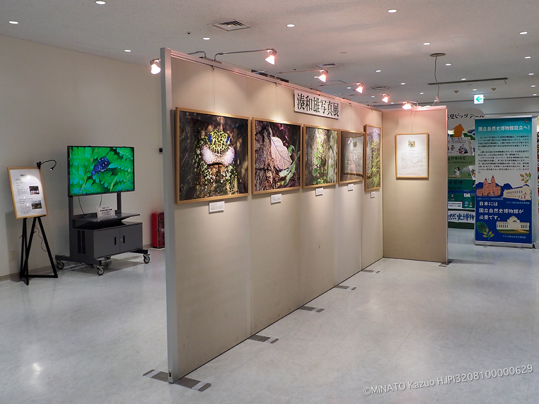 美ら海水族館写真展