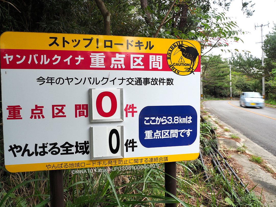 ロードキル標識