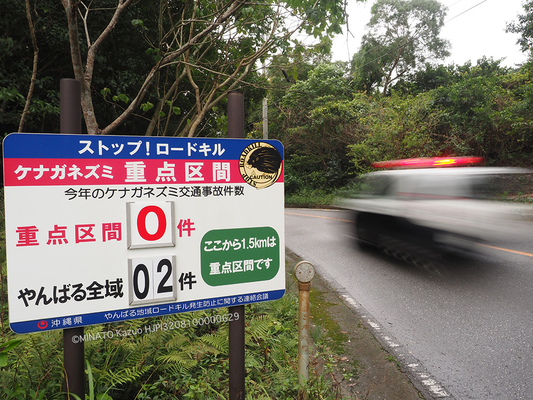 ロードキル掲示板