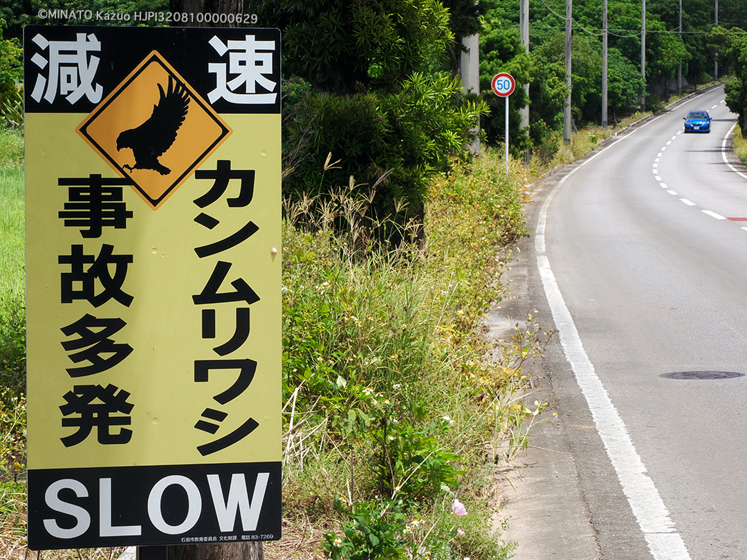 カンムリワシ標識