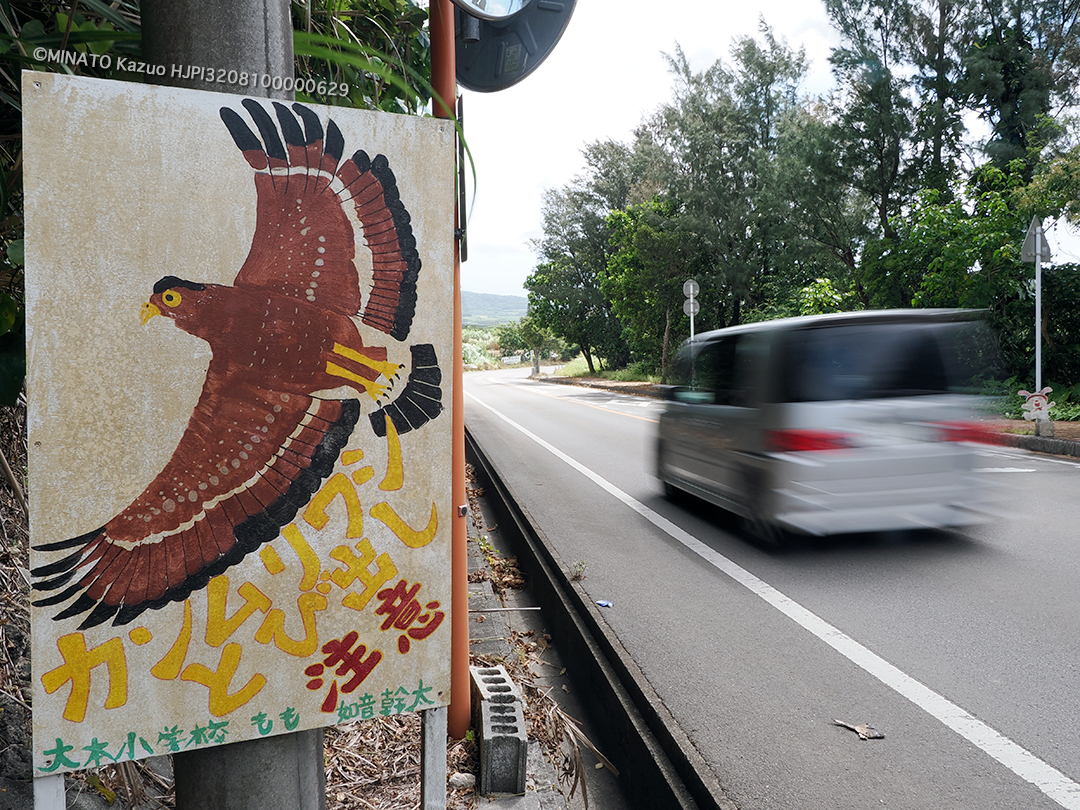 カンムリワシ注意看板