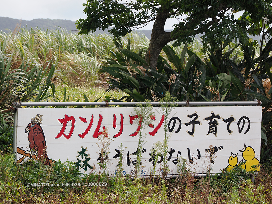 カンムリワシ注意看板