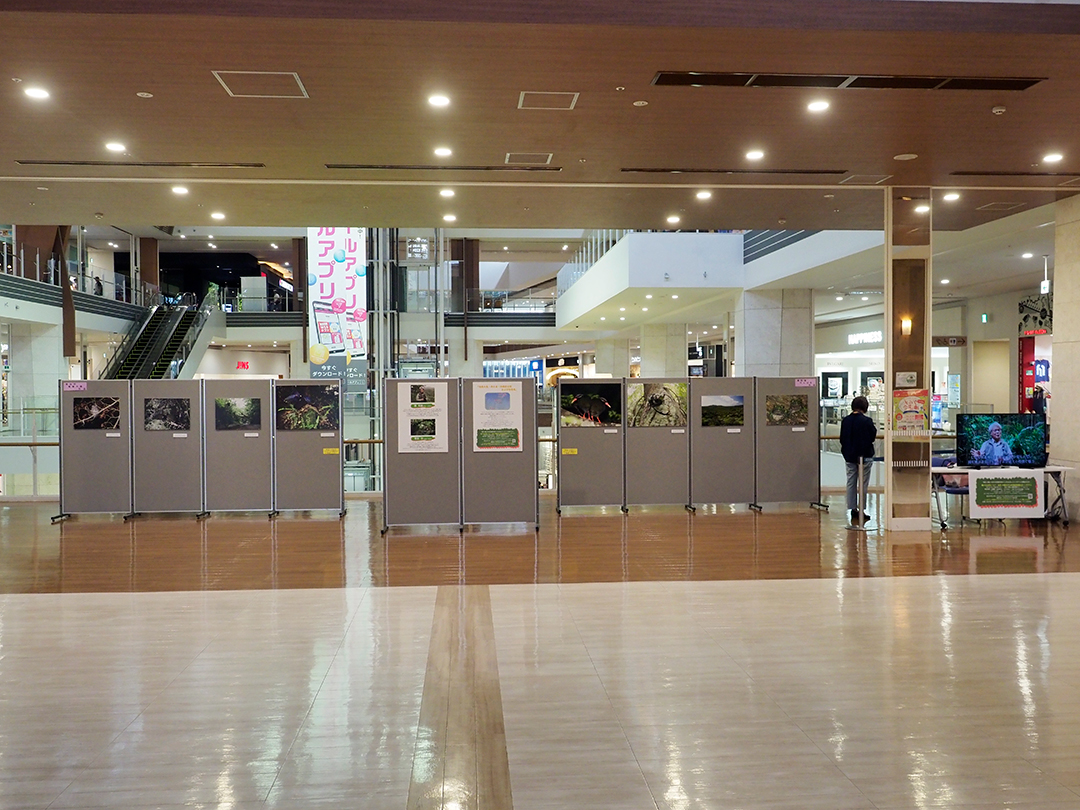 イオン企画展