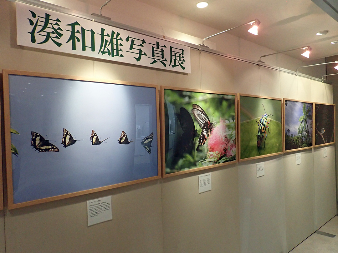 美ら海水族館写真展