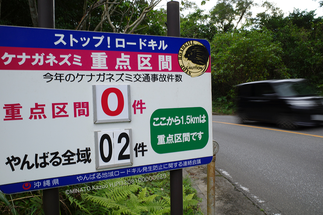 ケナガネズミロードキル看板