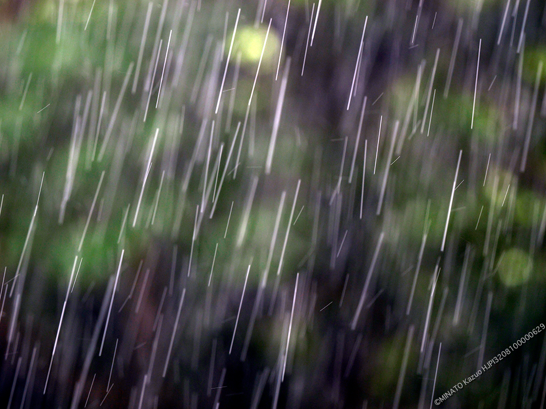 雨