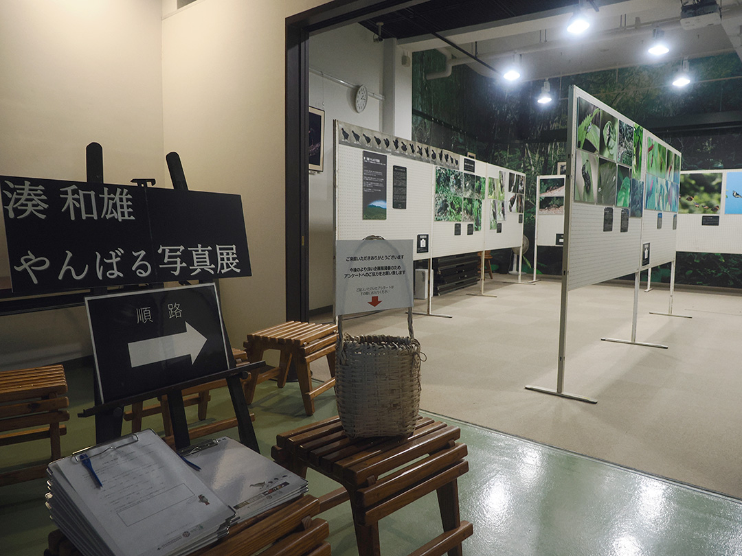 湊和雄やんばる写真展