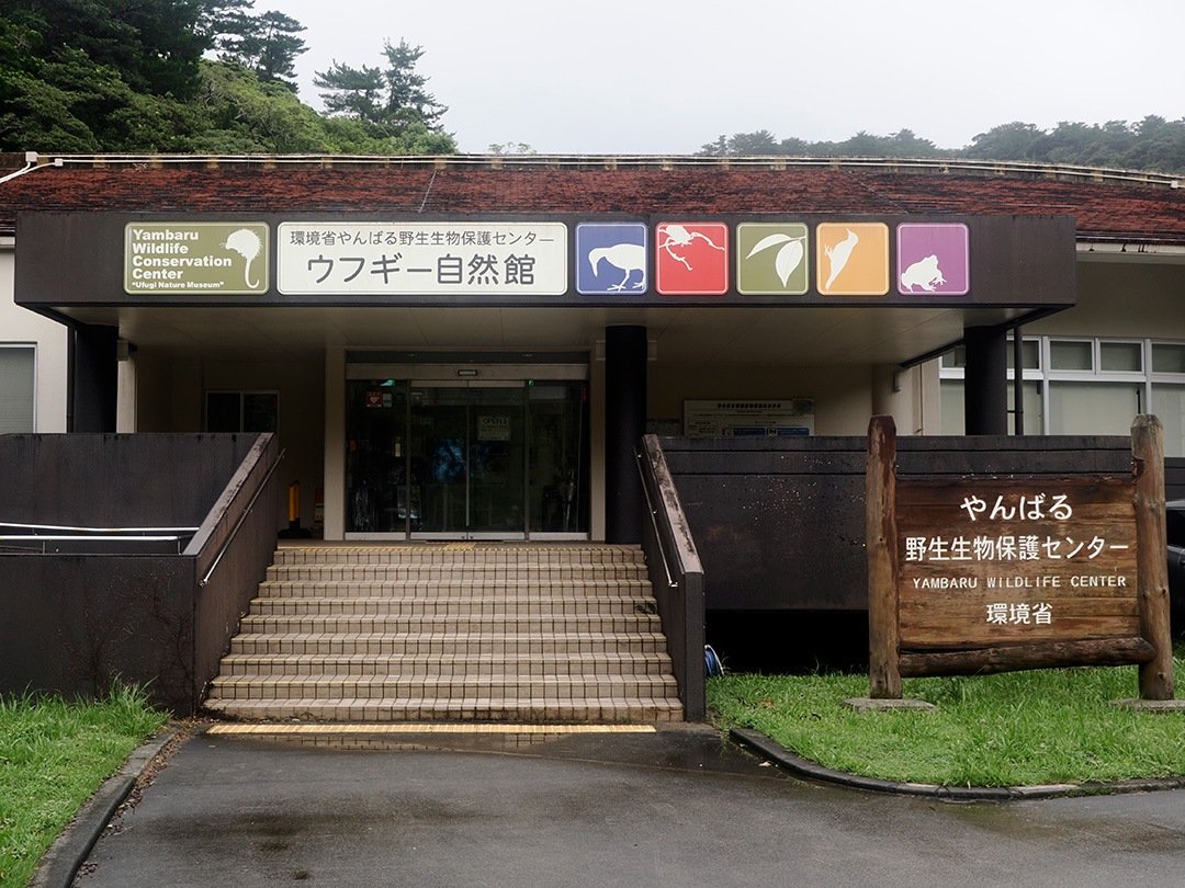 湊和雄やんばる写真展