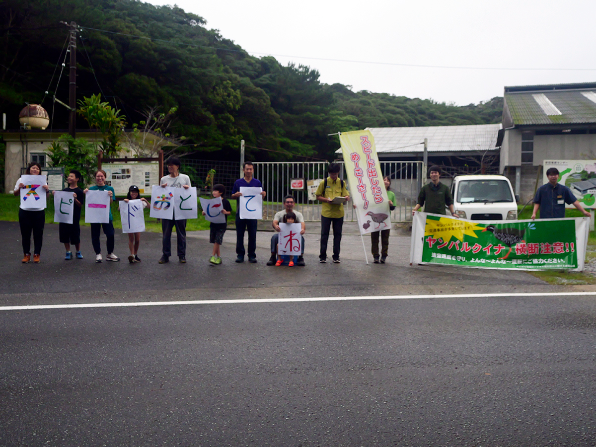 ロードキル防止キャンペーン