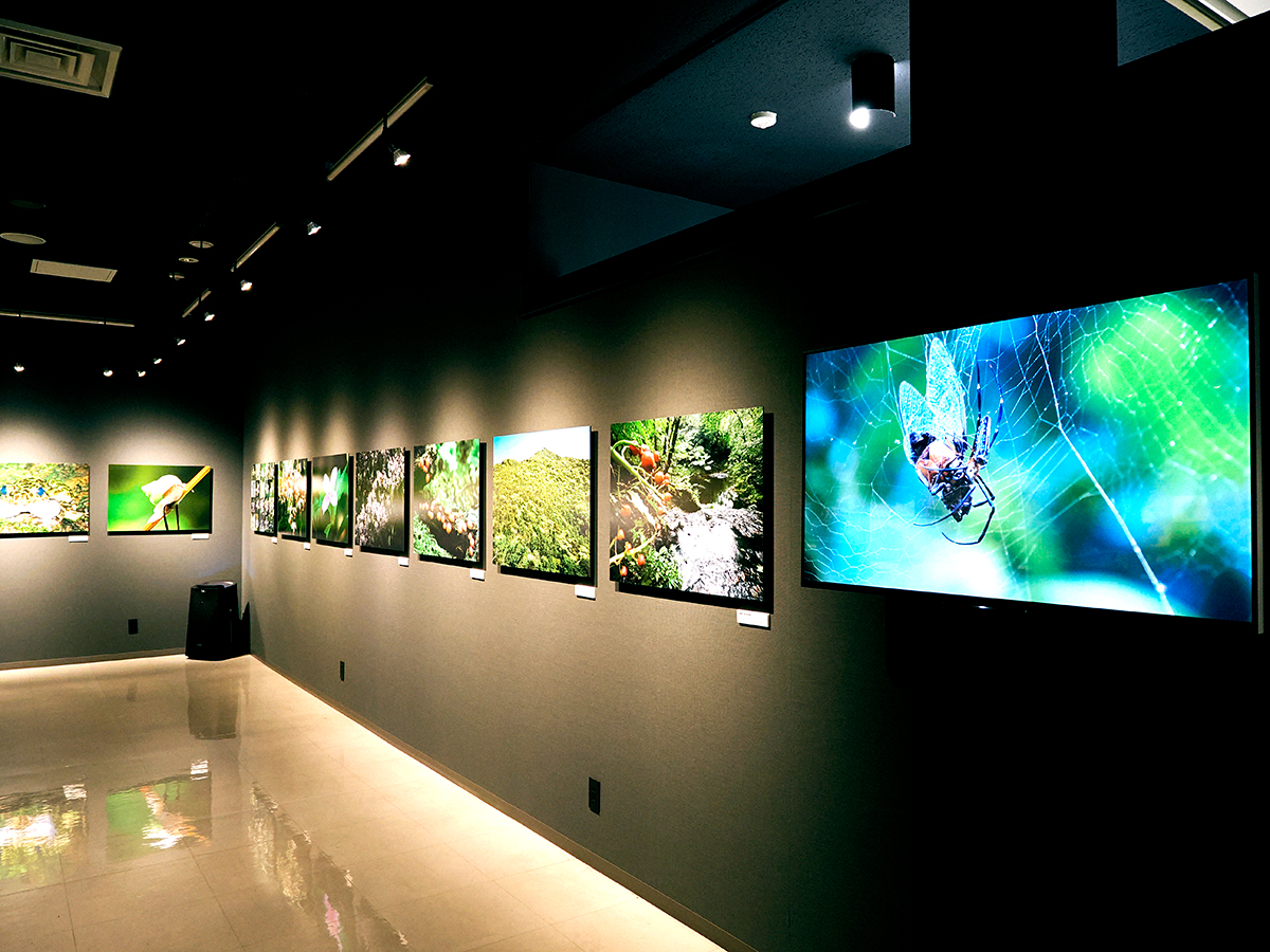 写真展設営作業(17:30)