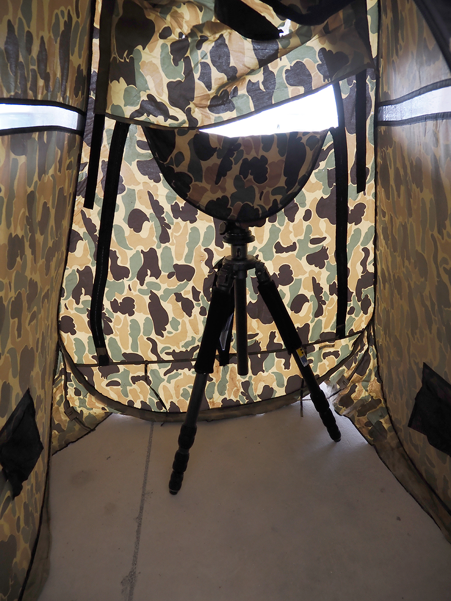 撮影用ブラインド