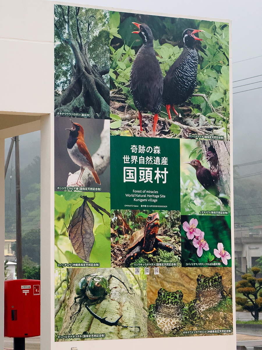 国頭村観光協会前サインボード