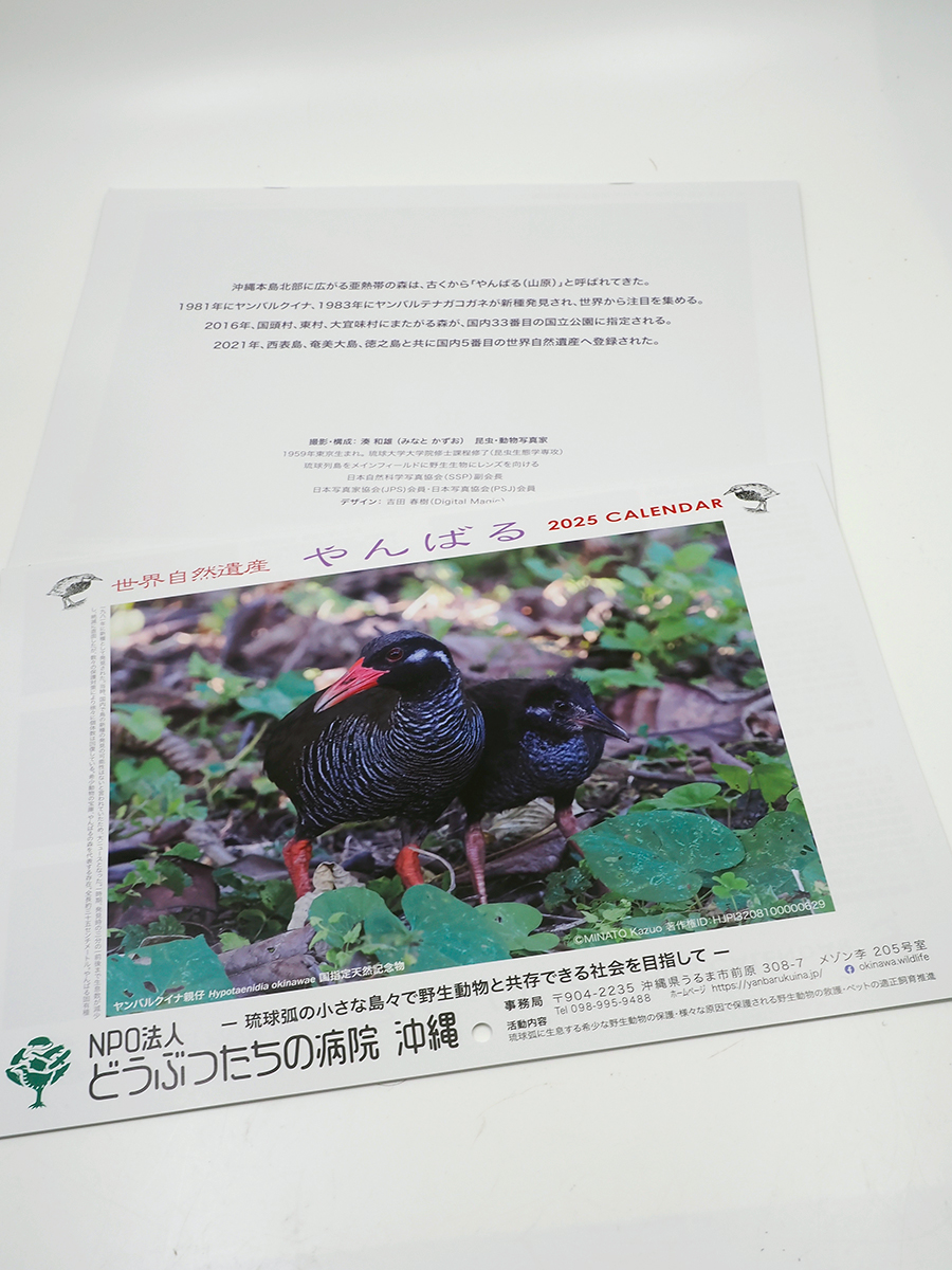 世界自然やんばる2025カレンダー