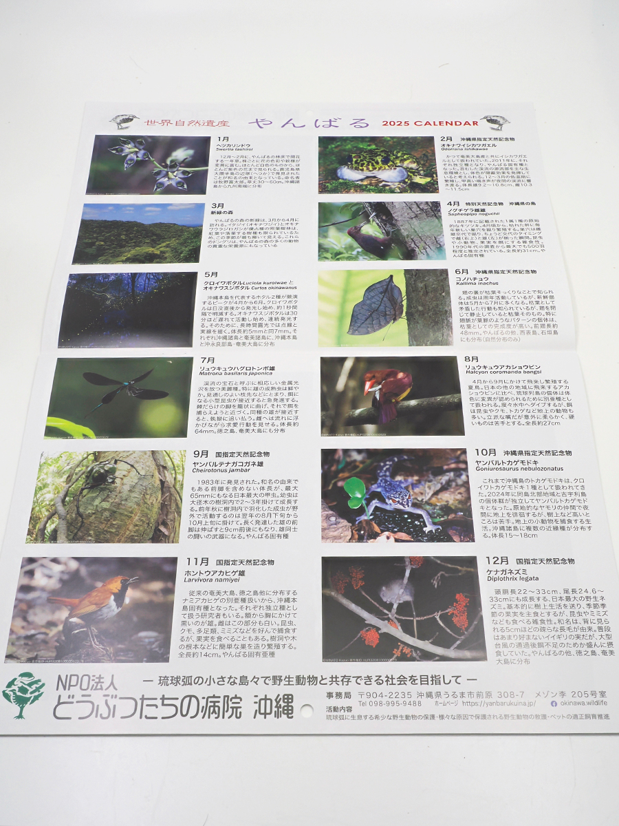 世界自然やんばる2025カレンダー