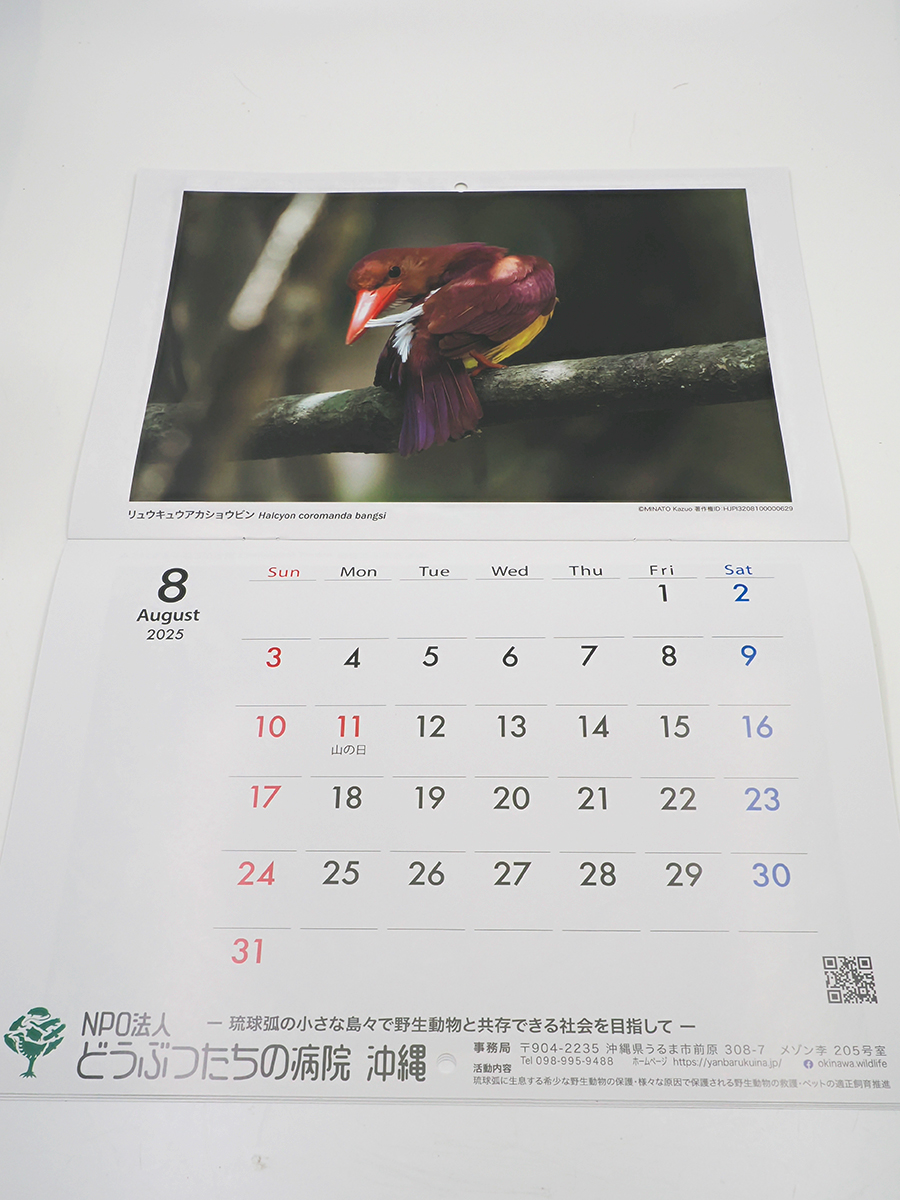 世界自然やんばる2025カレンダー