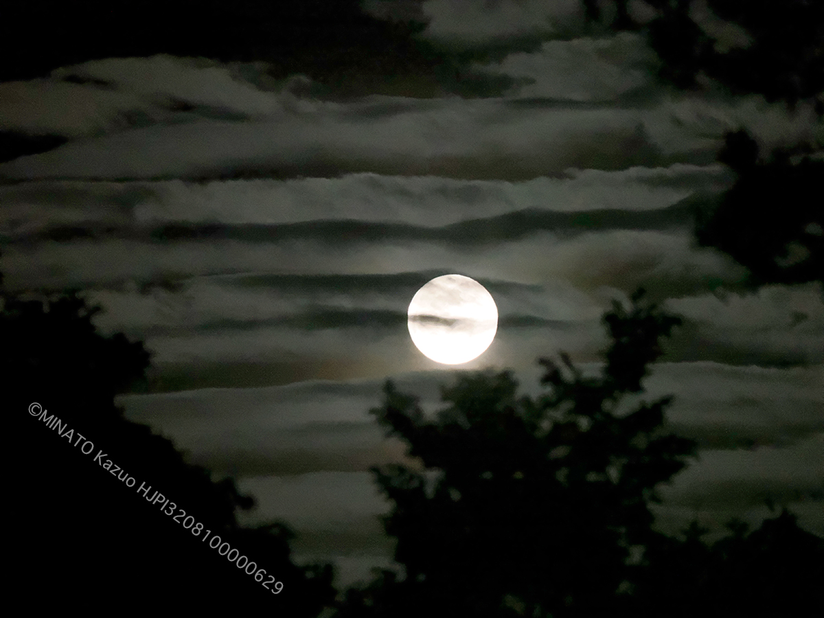 満月