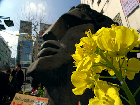 菜の花とモヤイ像