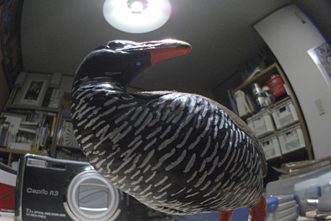 新型虫の眼レンズテスト