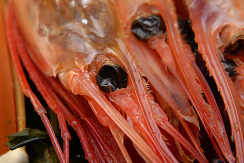 甘エビの頭 甘エビの頭