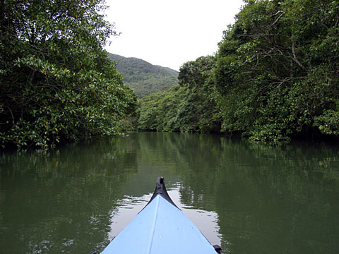 後良(しいら)川 後良(しいら)川