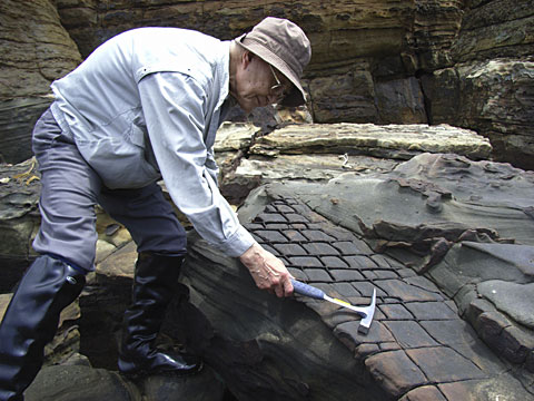 不思議な岩の調査 不思議な岩の調査