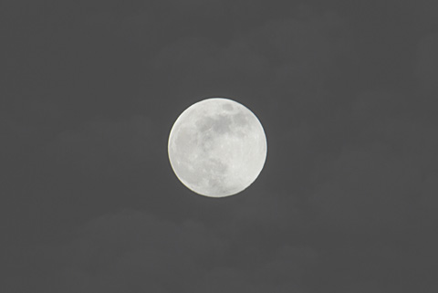 満月 満月