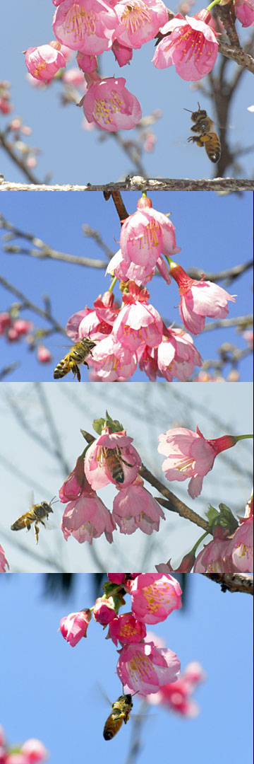 今日の残念・・ 今日の残念・・